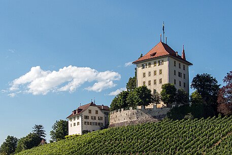 Schloss Heidegg